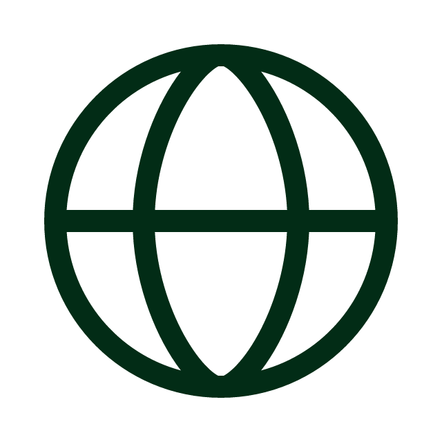Global icon